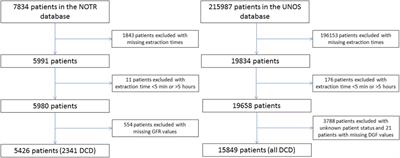 Prolonged Organ Extraction Time Negatively Impacts Kidney Transplantation Outcome